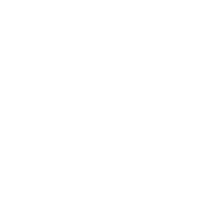 Gauge Icon