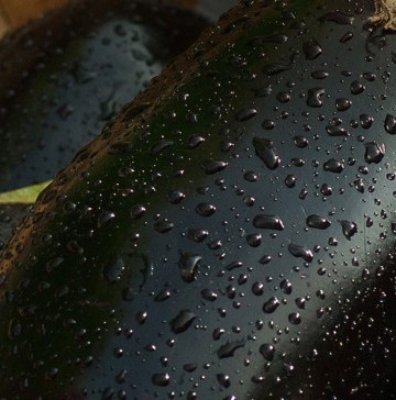 eggplant.jpg