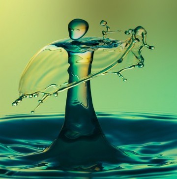 fluids-and-your-renal-system