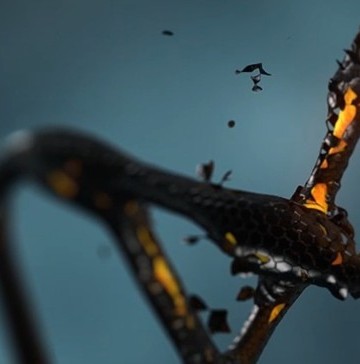 genetics-and-diabetes