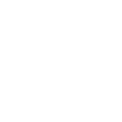 gauge icon