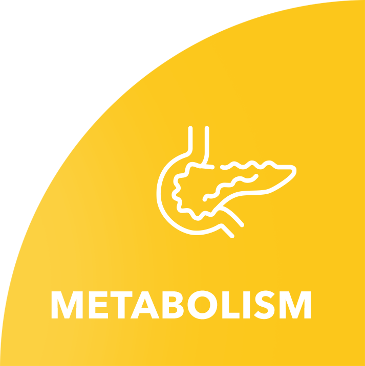 Metabolism