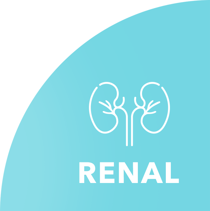 Renal